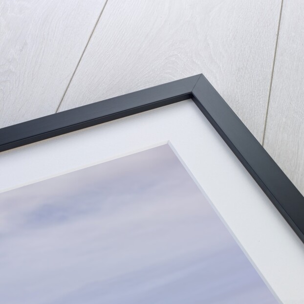 Clouds, aerial view by Assaf Frank